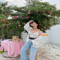 ราคา ชุดเซ็ตเสื้อครอปสายเดี่ยว+เสื้อคลุมลายริ้ว ผ้าไหมอิตาลี (8713584219)