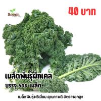 ราคา เมล็ดผักเคลใบหยิก (Kale) บรรจุ 500 เมล็ด (49750204400)