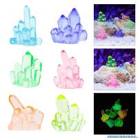 ราคา น้ําตาล10ล็อตพิพิธภัณฑ์สัตว์น้ําเรืองแสงพืชคืนเรืองแสงเรซิ่นตู้ปลาอุปกรณ์เสริมสําหรับพิพิธภัณฑ์สัตว์น้ําและถังปลาตกแต่ง (50852636937)