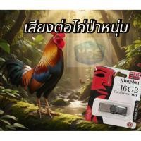 ราคา เสียงต่อไก่ป่า ไก่ป่าหนุ่ม ไก่ขัน (52500809912)