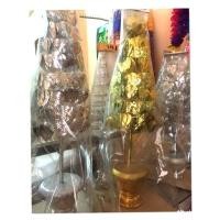 ราคา ต้นโพธิ์เงินโพธิ์ทองราคาต่อคู่ ใบแน่นสวย (1479075742)