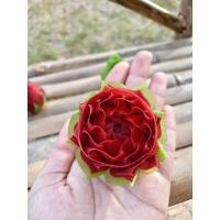 ราคา เหรียญโปรยทาน ดอกบัวดาว (ตัวเปล่า)กากเพชรใส วิบวับ สำหรับลูกค้าใส่เหรียญเอง ราคาต่อ1ชิ้น (46350321058)