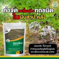ราคา เชื้อราบิวเวอร์เรีย เมธาไรเซียม สารกำจัดศัตรูพืช เพลี้ยแป้ง แมลงหวี่ขาว ในมันสำปะหลังและพืชทุกชนิด ขนาด 500 กรัม (25716156774)