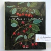 ราคา Pomona Britannica หนังสือศิลปะภาษาอังกฤษ (25697007143)