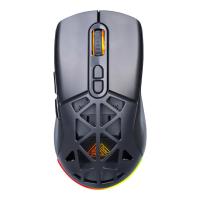 ราคา EGA Type M14 Wireless & Bluetooth Gaming Mouse RGB เมาส์เกมมิ่งไร้สาย (42702405866)