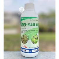 ราคา ไตร-เบส บลู ขนาด 1 ลิตร “คอปเปอร์พรีเมี่ยม สูตรครีม” - คอปเปอร์ ซัลเฟต (ไตรเบสิก) ✅ สินค้าผลิตใหม่ ของแท้แน่นอน (24115854528)
