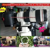 ราคา Collar Canon EF 70-200mm f / 4L IS / F4L (no is) (Ring A II (W) มือ 1 (3018007499)