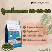 ราคา ปุ๋ยเกล็ดรุ่งอรุณ สูตร20-20-20 สูตรเสมอ (25566332691)