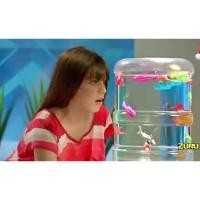 ราคา ROBO FISH ปลาหุ่นยนต์ ว่ายน้ำเคลื่อนที่ในน้ำได้เหมือนจริง เหมาะสำหรับ เป็นของเล่นและเครื่องประดับ บ้าน (1819847888)