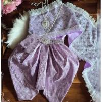 ราคา ชุดไทยเด็กมือสองชุดสีม่วงใส่แสดงครั้งเดียวคะ *สินค้าไม่ร่วมเครื่องประดับ (28927466576)