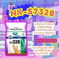 ราคา เมล็ดพันธุ์ข้าวโพด เอ็นเค เอส 7328 ขนาด 10 กก. ซินเจนทา ฝักใหญ่ ได้น้ำหนัก ลำต้นอวบใหญ่ รากแข็งแรง (54553411361)