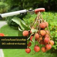 ราคา หยิบ ตัด เลื่อย3in1 กรรไกรตัดกิ่ง กรรไกรตัดผลไม้ กรรไกรตัดหนีบ กรรไกรตัดกิ่งด้ามยาว กรรไกรตัดกิ่งด้ามยาว เสายืดไสลด์โลหะ (25586686596)