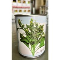 ราคา เมล็ดผักกาดกวางตุ้ง(กวางตุ้งดอก) พันธุ์ เขียวเข้ม (29534583424)