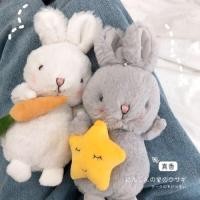 ราคา ♞,♘Nordic Blush กระต่ายสีขาวน่ารัก Star สีเทากระต่ายตุ๊กตาของเล่น Holding Soothing แครอทกระต่ายสาวของขวัญ Ins (57254145899)