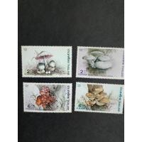 ราคา ชุดเห็ด ปี 2529 ยังไม่ใช้ (27224559216)