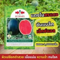 ราคา 1,000เมล็ด ซันแบล็ค XL ตราศรแดง เมล็ดพันธุ์แตงโม เมล็ดแตงโม แตงโมศรแดง (28674457564)