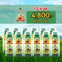 ราคา ยกโหล 12 ขวด ปุ๋ยน้ำแพนต้าโกรว์ตราพ่อใหญ่สัมฤทธิ์ (41110999458)