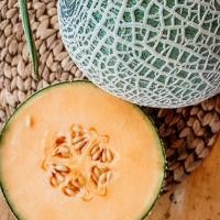 ราคา เมล็ดเมล่อนฟูจิซาว่า fUJISAWA 20 เมล็ด เมล่อนญี่ปุ่น เมล่อนเนื้อนุ่ม เมล่อนเนื้อส้ม (28259052302)