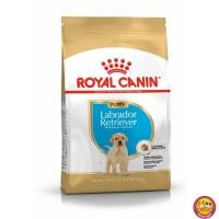 ราคา Royal Canin อาหารลูกสุนัข พันธุ์ลาบราดอร์ รีทรีฟเวอร์ ชนิดเม็ด (LABRADOR RETRIEVER PUPPY) 3kg (26065828826)