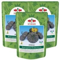 ราคา เมล็ดพันธุ์ฟักทองลายข้าวตอก 573 ตราศรแดง ขนาด 100 กรัม (43873788430)