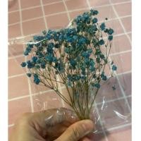 ราคา ดอกยิปโซแห้งสีฟ้า *ย้อมสี (4294406718)