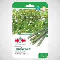 ราคา เมล็ดบวบเหลี่ยม พันธุ์เฮอร์คิวลิส ตราศรแดง GG (3864899930)