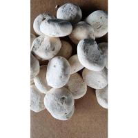 ราคา ลูกแป้งสาโท 50 ลูก 240 บาท (4695698097)