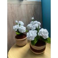 ราคา ดอกมะลิ ของขวัญวัญแม่ กระถางดอกมะลิไหมพรม (24887155602)