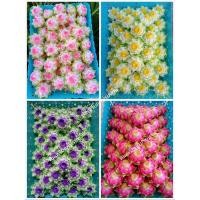 ราคา เหรียญโปรยทานดอกบัวปทุมมา พิมเหรียญโปรยทาน (29553565325)