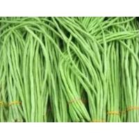 ราคา เมล็ดถั่วฟักยาว 10 เมล็ดเเถม2 (4951724893)