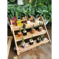 ราคา ชั้นวางแคสตัส ชั้นวางพืชไม้ขนาดเล็ก ไม้สักแท้ ขนาด 3ชั้นแบบขั้นบันได (7345220780)