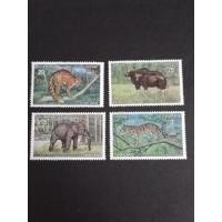 ราคา ชุดสัตว์​ป่าสงวน​ ชุด2​ ยังไม่ใช้ (24785518395)