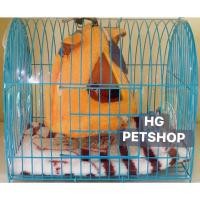 ราคา กรงชูก้ากรงกระรอกกรงกระแตกรงพร้อมบ้านและที่นอน (19767467811)