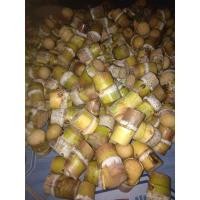 ราคา อ้อยคั้นน้ำสุพรรณบุรี50จำนวน200ข้อตา (6352695331)