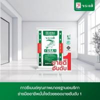 ราคา ปูนกาวจระเข้เขียว แบ่งขาย 1,2,5,10 กิโล กาวซีเมนต์ ปูนกาวตรา จระเข้เขียว (24381730733)