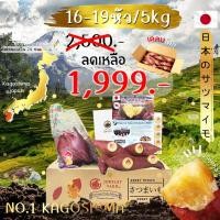 ราคา Oishi-Fresh มันหวานญี่ปุ่น Beni haruka แท้จากดองกี้ คัดพิเศษ ไซต์ M 5 กิโลกรัมหวาน หอม เนื้อเหลือง อร่อย (12775155844)