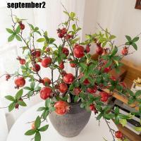 ราคา เซปเบอร์ จําลองทับทิมผลไม้,พลาสติกสมจริงประดิษฐ์สาขาทับทิม,บอนไซดอกไม้ปลอมหรูหรา6-ผลไม้ทําด้วยมือต้นไม้ปลอมตกแต่งสวนกลา (53005258866)