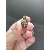 ราคา รูปหล่อเต่าโบราณ กะไหล่ทองเหลือง ไม่ทราบรุ่น ไม่ทราบที่ (17523414553)