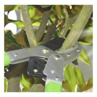 ราคา กรรไกรตัดกิ่ง กรรไกรตัดกิ่งด้ามยาว กรรไกรตัดกิ่ง ด้ามยาว กรรไกรด้ามปรับยาว กรรไกรตัดกิ่ง ตัดกิ่งไม้ ยืดหดได้ (26525137527)