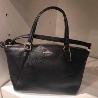 ราคา Coach New พัดหนังมินิ 10" #อะไหล่ทอง (316712023)