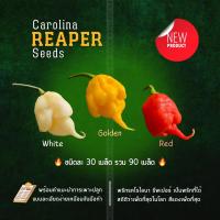 ราคา เมล็ดพันธุ์พริก Carolina Reaper 3 สี สวยและเผ็ดที่สุดในโลก ชุดละ 30 เมล็ด (17797860484)