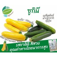 ราคา เมล็ดพันธุ์ ซูกินี (Zucchini) (11461738964)