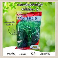ราคา เมล็ดผักบุ้งจีนใบไผ่ ทิวไผ่เรียว9 ตราภูเขาทอง ขนาดบรรจุ 1 กิโลกรัม (23576140799)