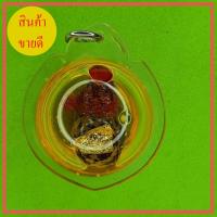 ราคา น้ำเต้า หมากทุย อัดกรอบพลาสติกกันน้ำ (5090954562)