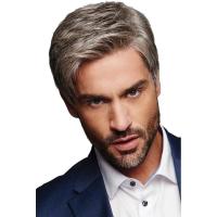 ราคา เฟลอร์แลนซ์ ผู้ชาย วิกผมสีเทา วัสดุใยสังเคราะห์ ทนความร้อน สไตล์โมเดิร์น 51 ซม. 1 ชิ้น (53604379060)