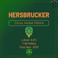 ราคา Hallertau Hersbrucker Hops GER ฮอปส์ เพลลิท ทำเบียร์​ Pale, Dark Lager, Weissbier Homebrew Crop 2022 Hopfenveredlung (22260727193)