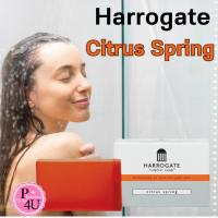 ราคา Harrogate Citrus Spring Soap 200กรัม สบู่กลีเซอลีน วิตามินอี สำหรับผู้ที่เป็นสิว ผิวแพ้ง่าย (22033447560)