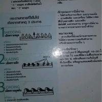 ราคา กระดาษทราย ATLAS SILICONE CARBIDE ราคาต่อแผ่น (41113877407)