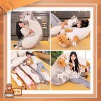 ราคา ตุ๊กตาแมว นุ่มนิ่ม หมอนข้างแมวน่ารัก ตุ๊กตาหมอนข้าง ตุ๊กตา หมอนข้าง หมอน กอด น่ารัก (13772252235)