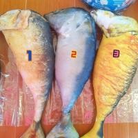 ราคา หมอนข้างปลาทูกุ้ง หมึก (671305115)